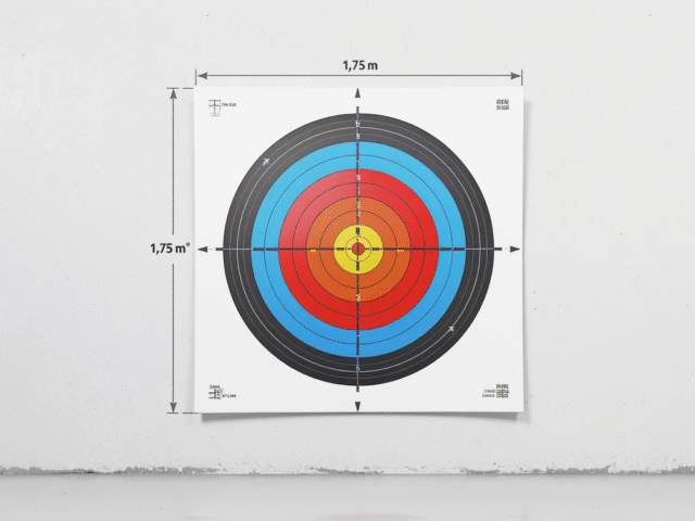 Règles officielles : Distance et position de tir aux fléchettes
